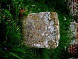 image of grave number 225680